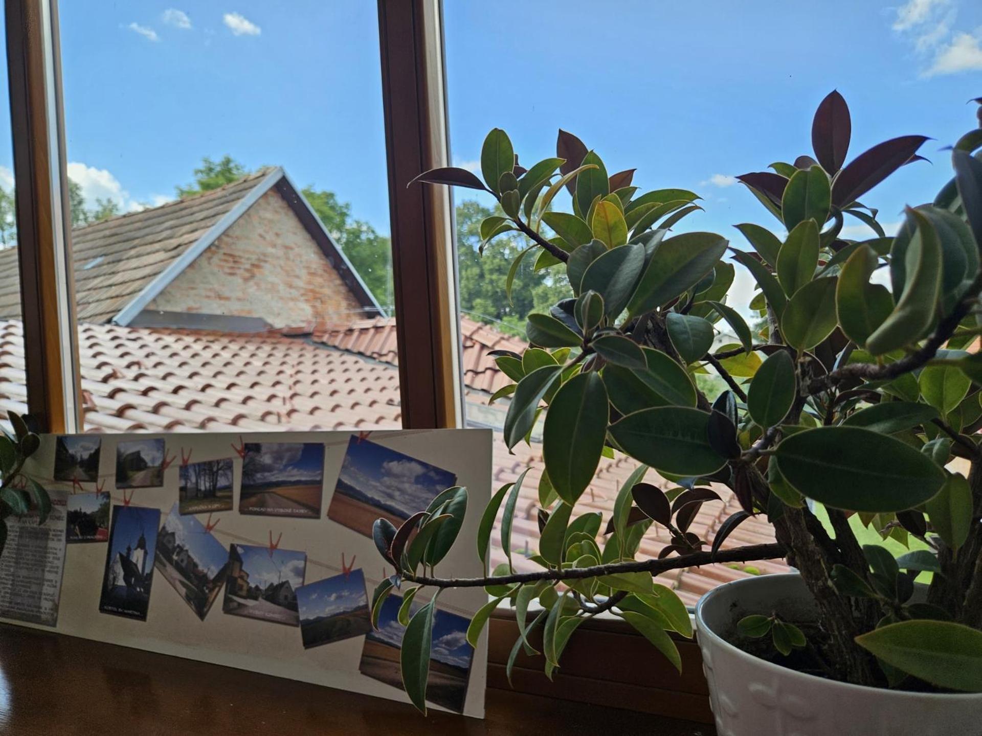 Penzion Pod Krivanom Liptovsky Hradok Exterior photo